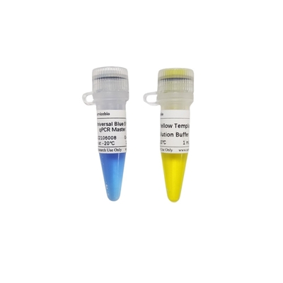 2× ইউনিভার্সাল ব্লু GSK সবুজ QPCR মাস্টার মিক্স 40× হলুদ টেমপ্লেট ডিলিউশন বাফার সহ