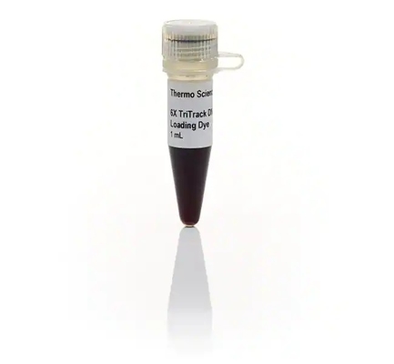 Generuler 1kb প্লাস DNA ল্যাডার বায়োকেমিক্যাল রিএজেন্ট ব্যবহার করার জন্য প্রস্তুত