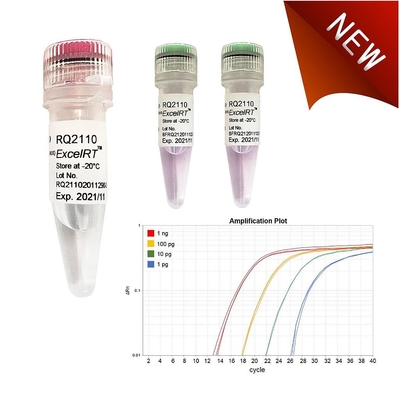 জৈব রাসায়নিক বিকারক নেই Rox QPCR মিক্স 1000 X 20ul প্রতিক্রিয়া Accuris QMax Green