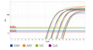 ইউনিভার্সাল টাকম্যান মাল্টিপ্লেক্স QPCR মাস্টার মিক্স বায়োকেমিক্যাল রিএজেন্ট