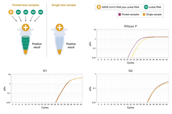 ইউনিভার্সাল টাকম্যান মাল্টিপ্লেক্স QPCR মাস্টার মিক্স বায়োকেমিক্যাল রিএজেন্ট