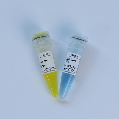 ইউনিভার্সাল টাকম্যান মাল্টিপ্লেক্স QPCR মাস্টার মিক্স বায়োকেমিক্যাল রিএজেন্ট