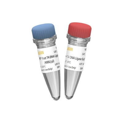 NGS লাইব্রেরি নির্মাণ দ্রুত T4 DNA Ligase 400 U/UL শুধুমাত্র গবেষণা ব্যবহারের জন্য