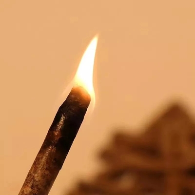 গরম করার সিস্টেম বায়োমাস জ্বালানী কাঠের পেলেট পেশাদার শক্তি সঞ্চয়